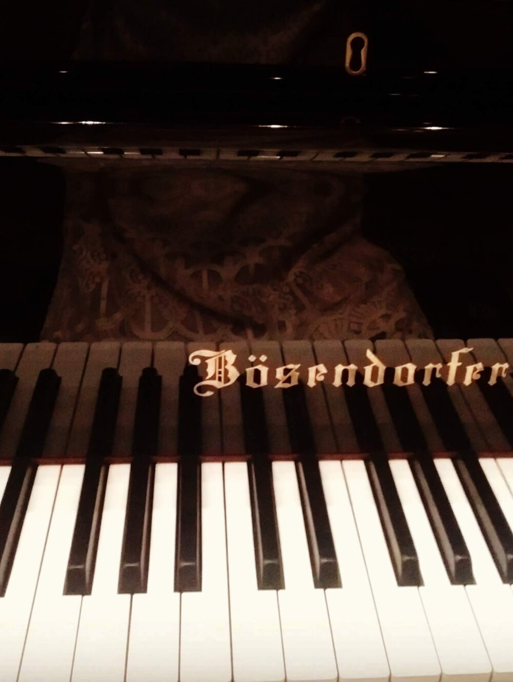 BrennaJPiano Is LIVE! Sometimes Piano Music, Sometimes Clothes. :) - Picture 1 of 8